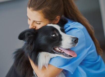 hotel para cachorros veterinaria thumb