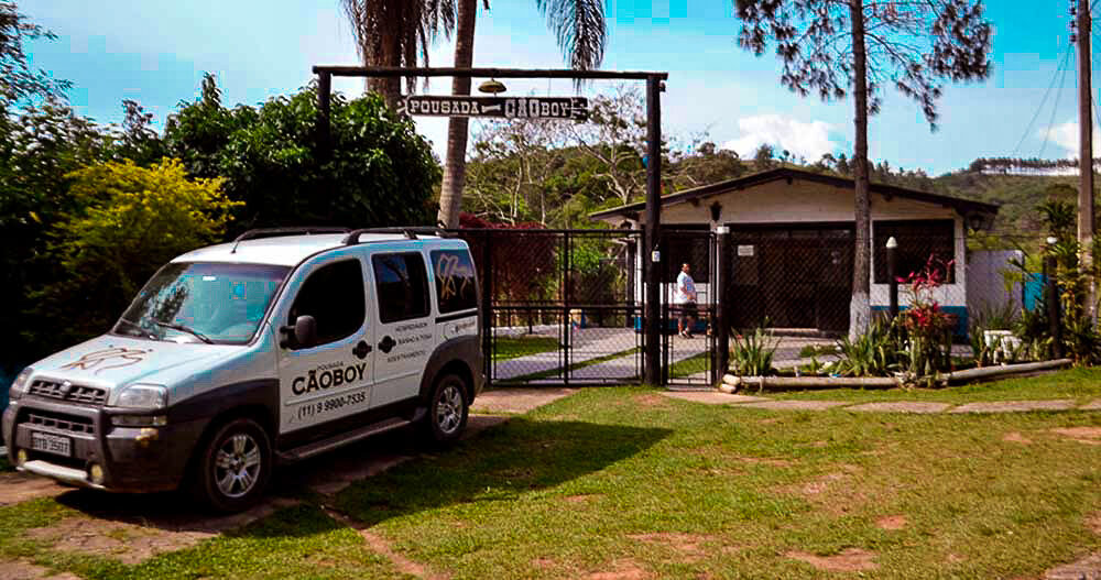 Blog- Hotel para cachorro em São Paulo 5 como-e-um-hotel-para-cachorros-g