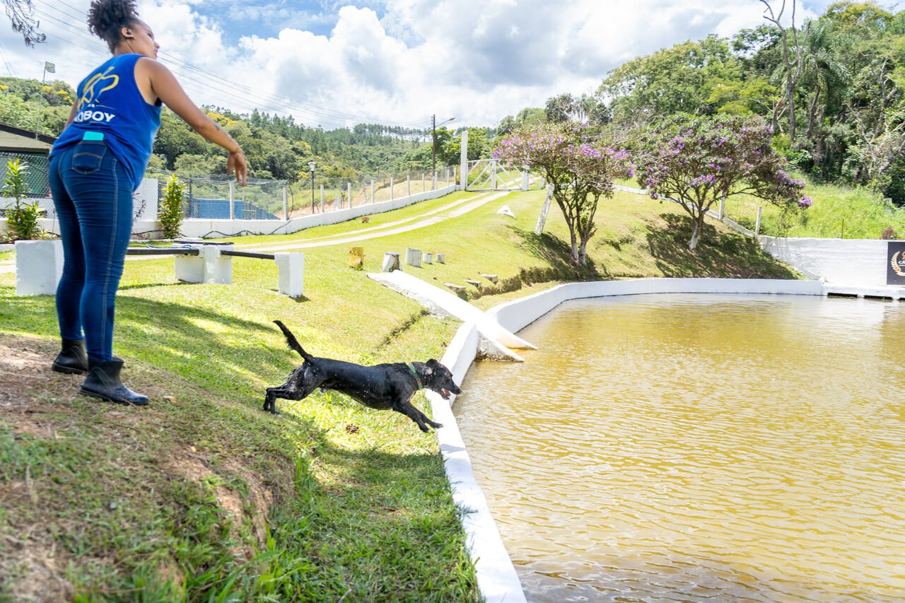 hotel para cachorro 24