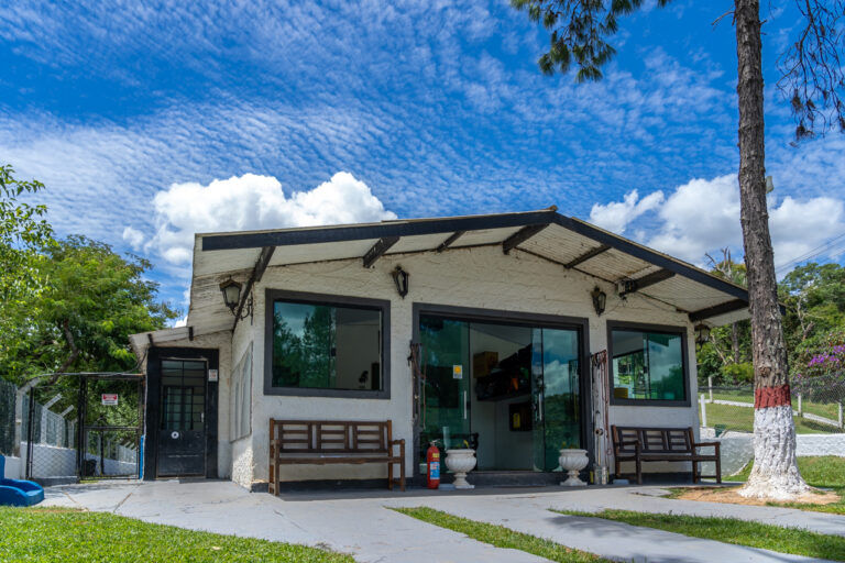 Quanto custa uma diária de hotel para cachorro? 8 hotel-para-cachorro-35