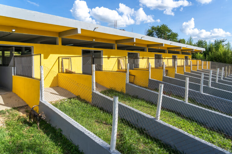 Quanto custa uma diária de hotel para cachorro? 1 Hotel Para Cachorro