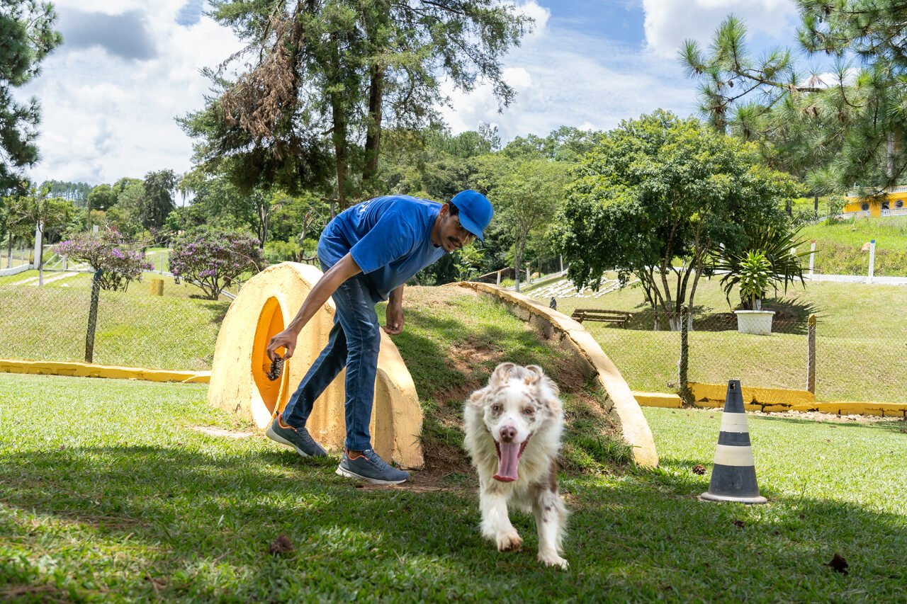 hotel para cachorro 5 1