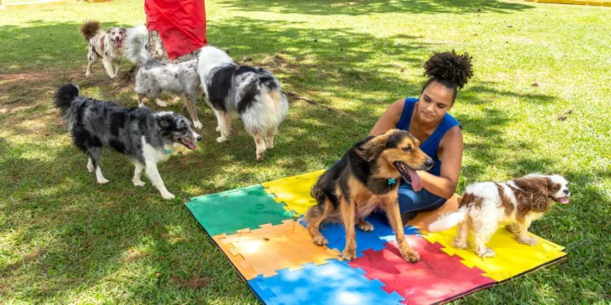 Hotel para cachorro no Jardim Marajoara