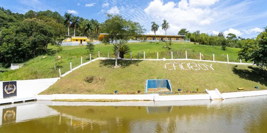 hotel para cachorro lago 1